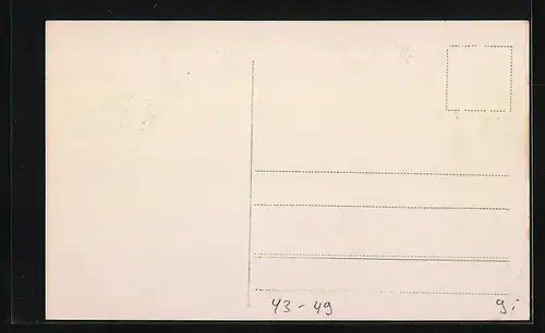 AK Die abgebrannte Dresdener Vogelwiese am 2.8.1909