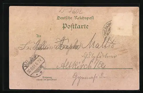 Lithographie Oberkirch, Gasthof Zum schwarzen Adler, Teilansicht, Paar in Tracht