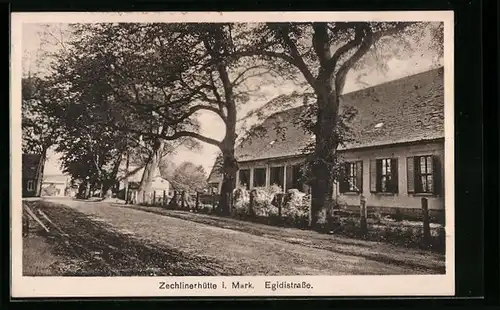 AK Zechlinerhütte i. Mark, Egidistrasse mit Bäumen