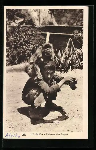 AK Blida, Ruisseau des Singes, Junge mit dressiertem Affen auf der Schulter