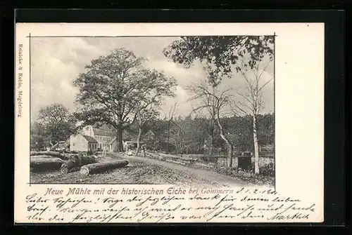 AK Gommern, Neue Mühle mit der historischen Eiche