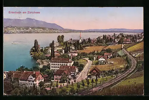 AK Erlenbach, Panorama mit dem Zürichsee