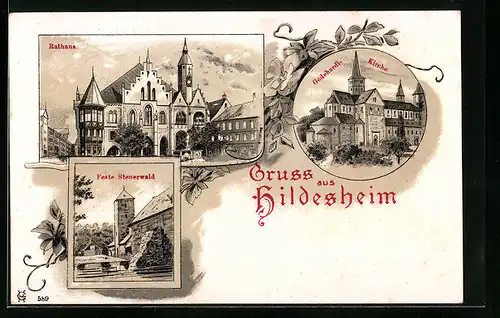 Lithographie Hildesheim, Rathaus, Godehardi-Kirche, Feste Stenerwald