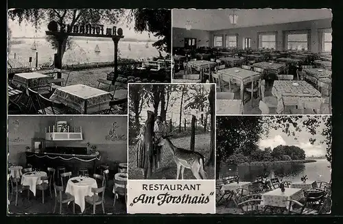 AK Berlin-Tegel, Restaurant Am Forsthaus, Schwarzer Weg