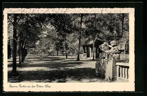 AK Hamm, Osten-Allee mit Pavillon