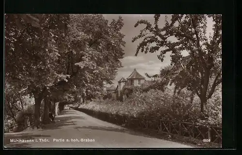 AK Mühlhausen i. Thür., Strassenpartie am hohen Graben mit Bäumen