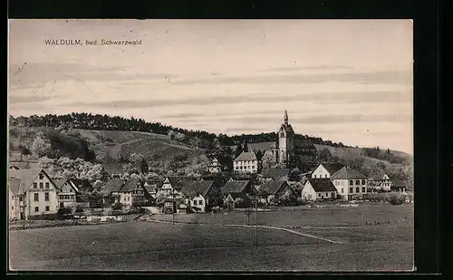 AK Waldulm /Schwarzwald, Ortsansicht mit Kirche