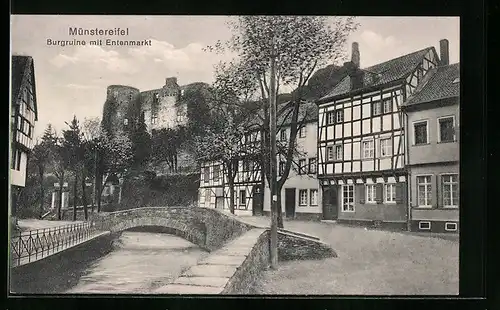 AK Münstereifel, Burgruine mit Entenmarkt