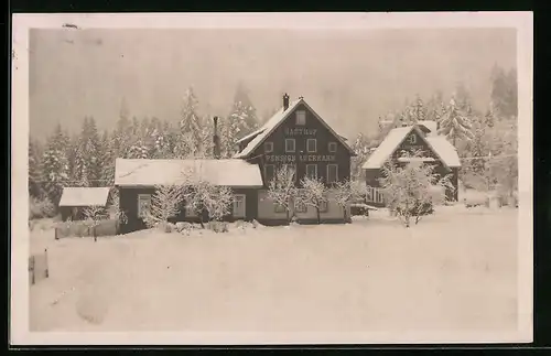 AK Zwieselberg, Gasthof und Pension Auerhahn im Winter