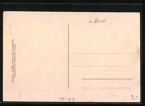 AK Die abgebrannte Dresdener Vogelwiese am 3. August früh um 6 Uhr