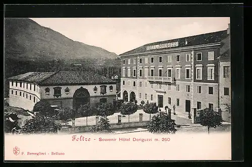 AK Feltre, Hotel Doriguzzi