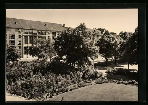 AK Berlin, Humannplatz mit Bäumen