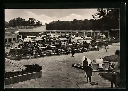 AK Berlin, Cafeteria am Tierpark