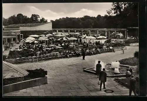 AK Berlin, Cafeteria am Tierpark