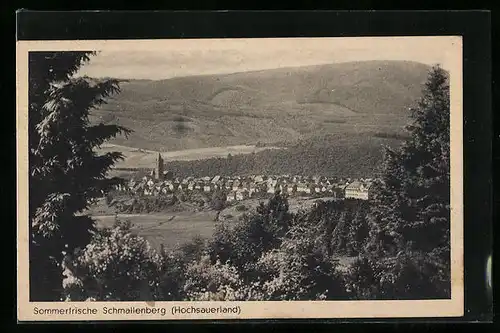 AK Schmallenberg, Gesamtansicht aus der Vogelschau