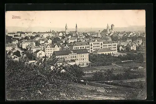 AK Zittau, Panorama der Stadt