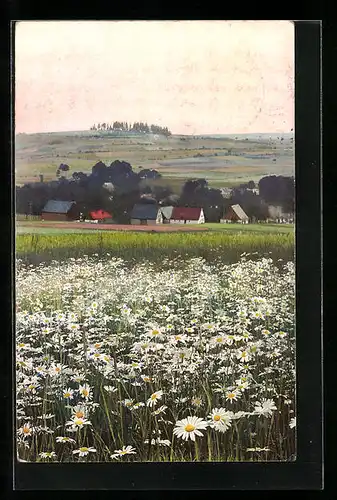 AK Mildenau bei Annaberg, Ortspartie mit Blumenwiese