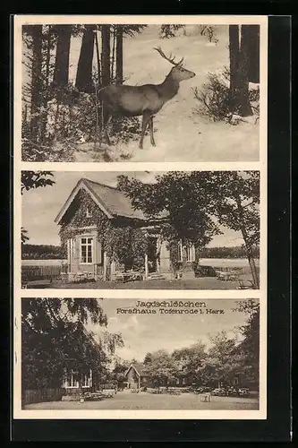 AK Totenrode i. Harz, Gasthaus Jagdschlösschen Forsthaus Totenrode, Hirsch im Wald im Schnee