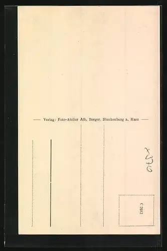 AK Totenrode i. Harz, Gasthaus Jagdschlösschen Forsthaus Totenrode, Hirsch im Wald im Schnee