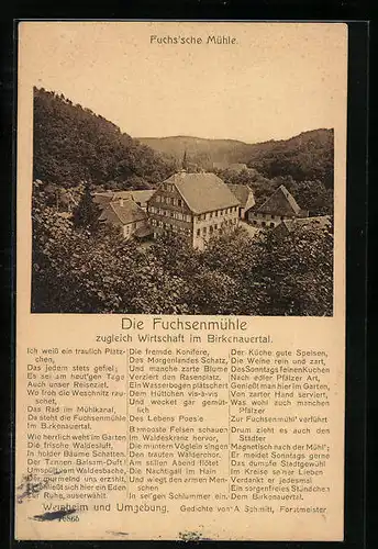 AK Weinheim, Gasthaus Fuchsenmühle im Birkenauertal