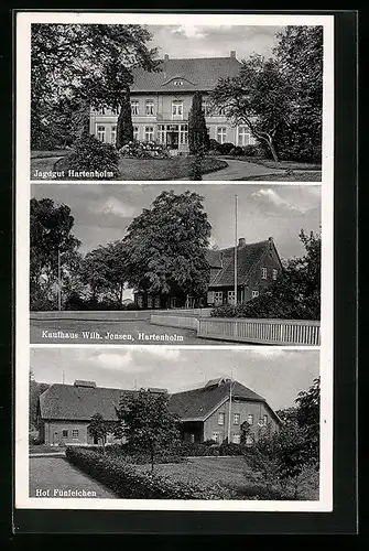 AK Hartenholm, Jagdgut, Kaufhaus Wilh. Jensen, Hof Fünfeichen