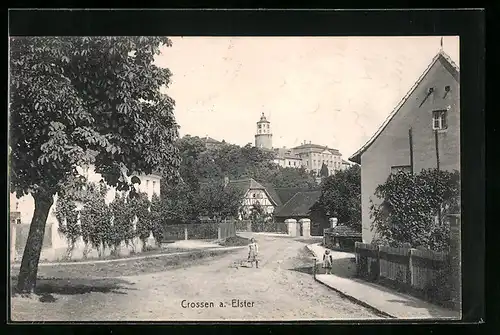 AK Crossen a. Elster, Strassenpartie mit Häusern