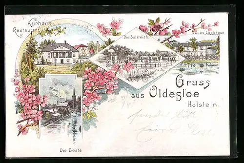 Lithographie Oldesloe /Holstein, Kurhaus Restaurant von L. Tiedemann, Salzteich