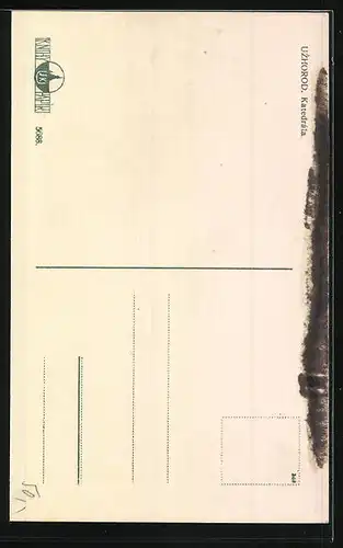 AK Uzhorod, Katedrala