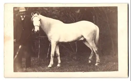 Fotografie Gius. Breda, Ineste, Herr mit seinem Rennpferd, weisser Schimmel