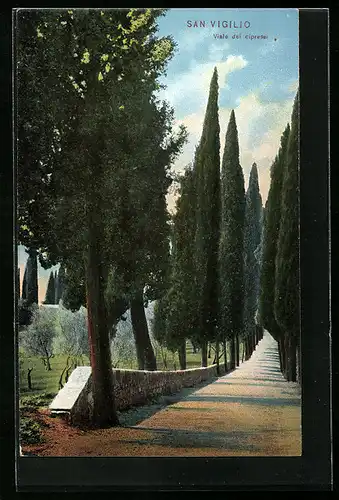 AK San Vigilio, Viale dei cipressi