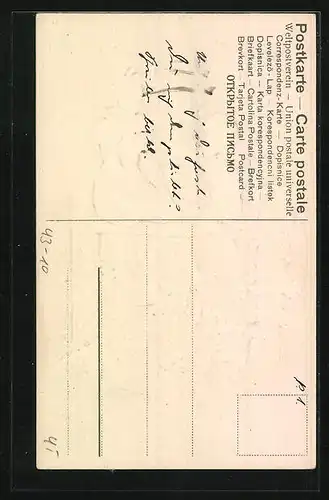 AK Liebespaar an einem Zaun auf einer Wiese