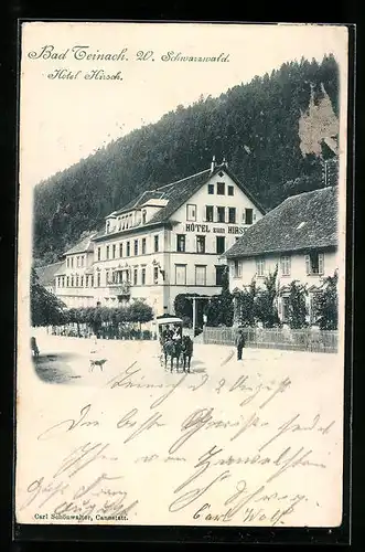 AK Bad Teinach /Schwarzwald, Hotel Hirsch