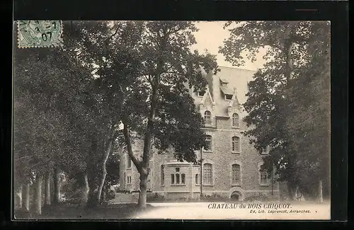 AK Bois Chiquot, Chateau de Bois Chiquot