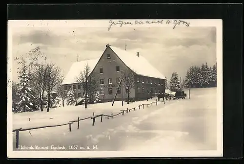 AK Escheck, Gasthof und Pension zum Kreuz