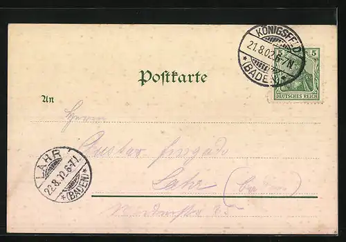 Lithographie Königsfeld /Schwarzwald, Mädchenanstalt, Panorama