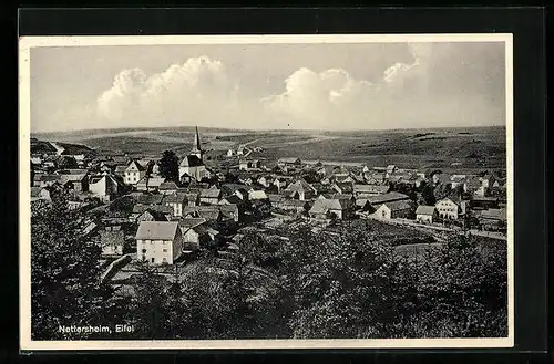 AK Nettersheim /Eifel, Ortsansicht mit Kirche