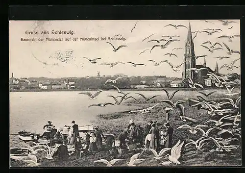 AK Schleswig, Sammeln der Möweneier auf der Möweninsel
