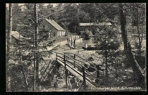 AK Horn /Teutoburger Wald, Silbermühle im Wald