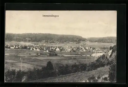 AK Immendingen, Gesamtansicht