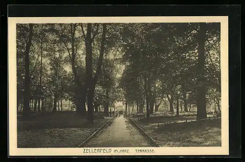 AK Zellerfeld /Harz, Terrasse im Park