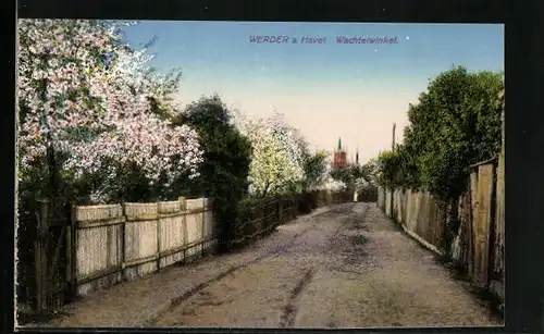 AK Werder a. Havel, Blick in den Wachtelwinkel