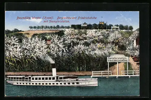 AK Werder /Havel, Bergrestaurant Friedrichshöhe mit Dampferstation