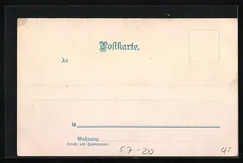 Lithographie Mohnblumenstrauss mit Blättern