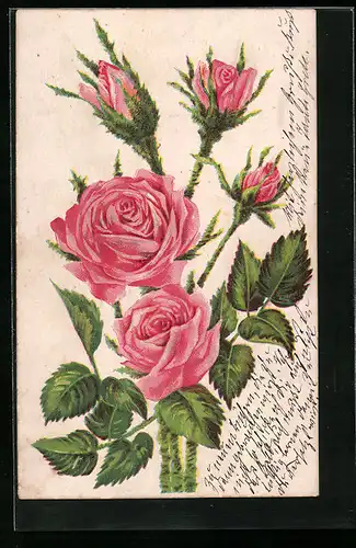 Präge-AK Rosenblüten mit Grün und Rosenknospen