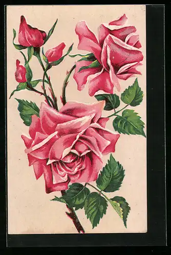 Präge-AK Edle Rosen mit Blütenknospen