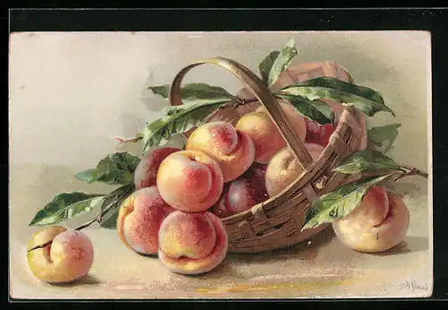 AK Korb mit frischen Pfirsichen
