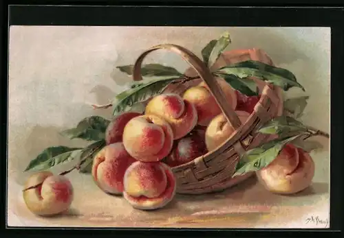 AK Spankorb mit frischen Pfirsichen