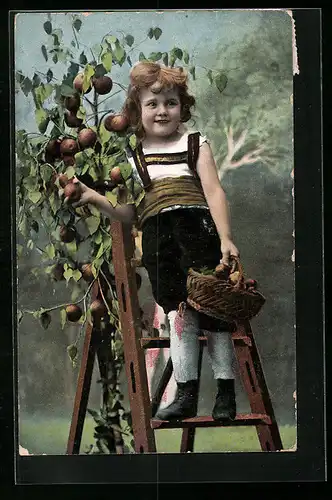 AK Knabe bei der Apfelernte
