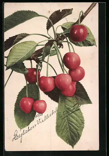AK Rote Kirschen am Zweig