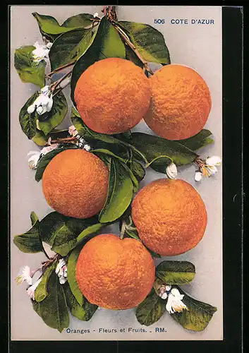 AK Orangen von der Cote d`Azur